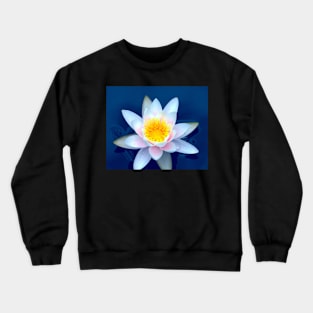 Lily On Blue Crewneck Sweatshirt